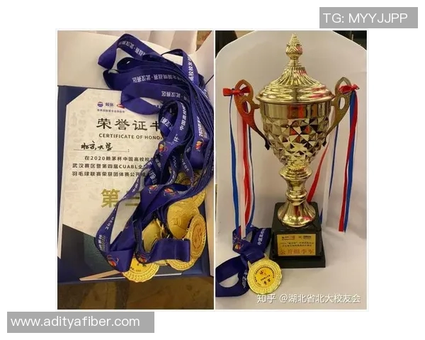 南京羽毛球队与深圳羽毛球队赛后技术分析与战术总结